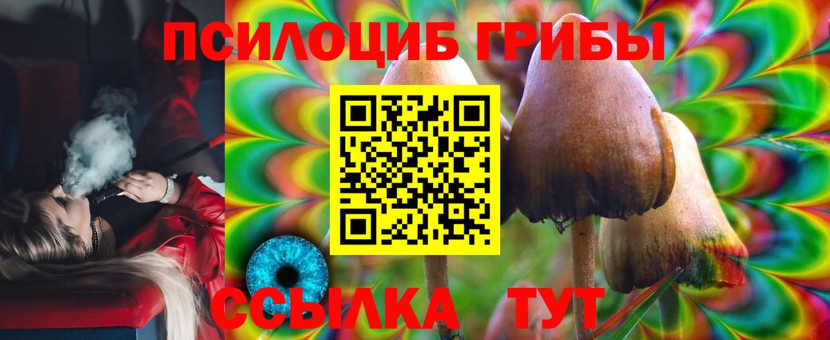 Псилоцибиновые грибы Psilocybe Великие Луки