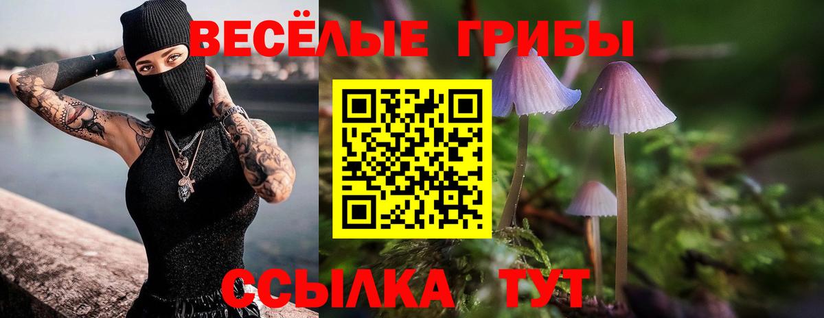 Великие Луки  Псилоцибиновые грибы Cubensis  Вход с VPN 